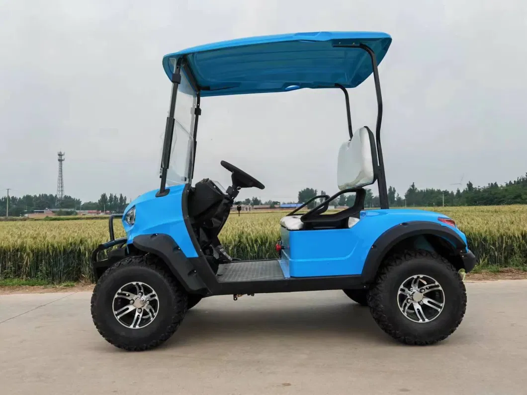 Electric Car OEM/ODM Electric Four Wheel 6 Seats Customized Chinese Factory Golf Cart