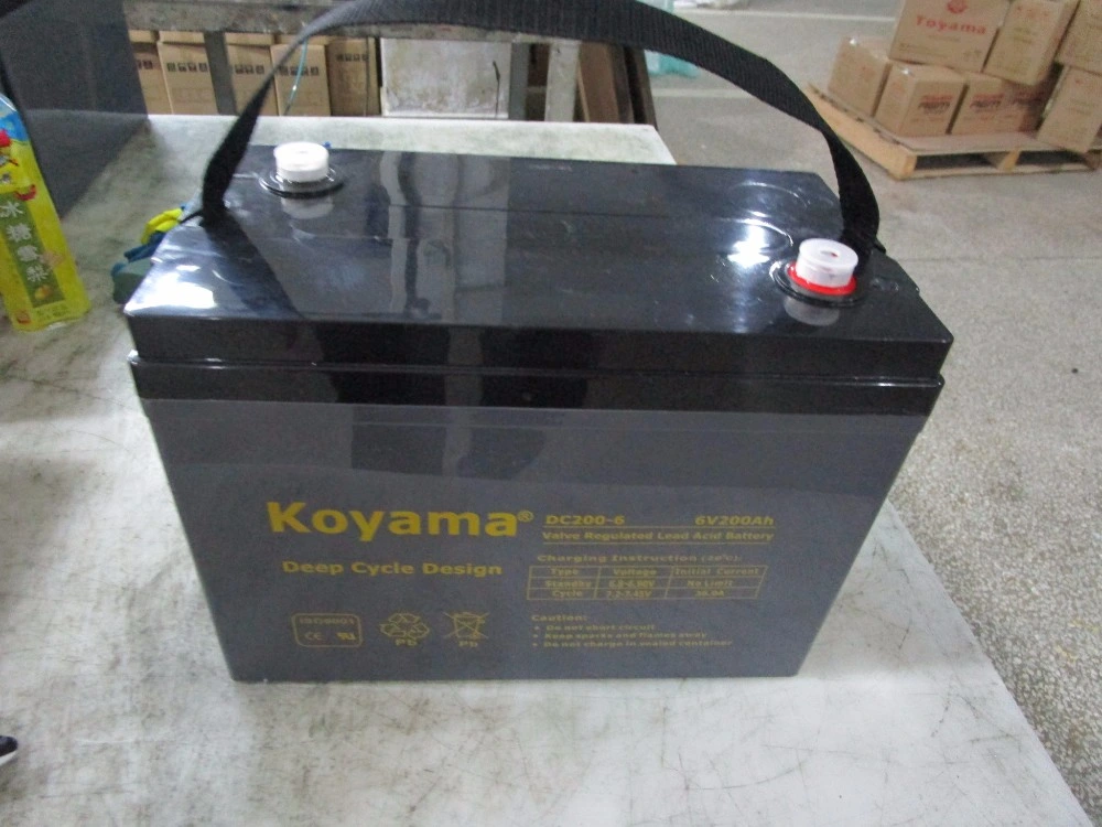 CE Approved Trojan Golf Cart Battery 8V170ah, T875