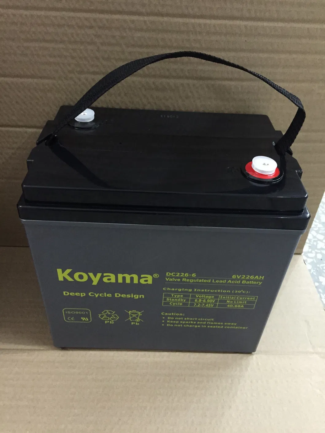 CE Approved Trojan Golf Cart Battery 8V170ah, T875