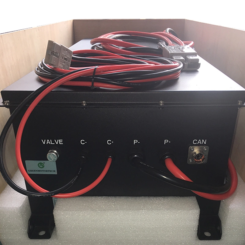 48V 105ah LFP Lithium Iron Phosphate Energy Storage Battery for Agv Car Sightseeing Bus