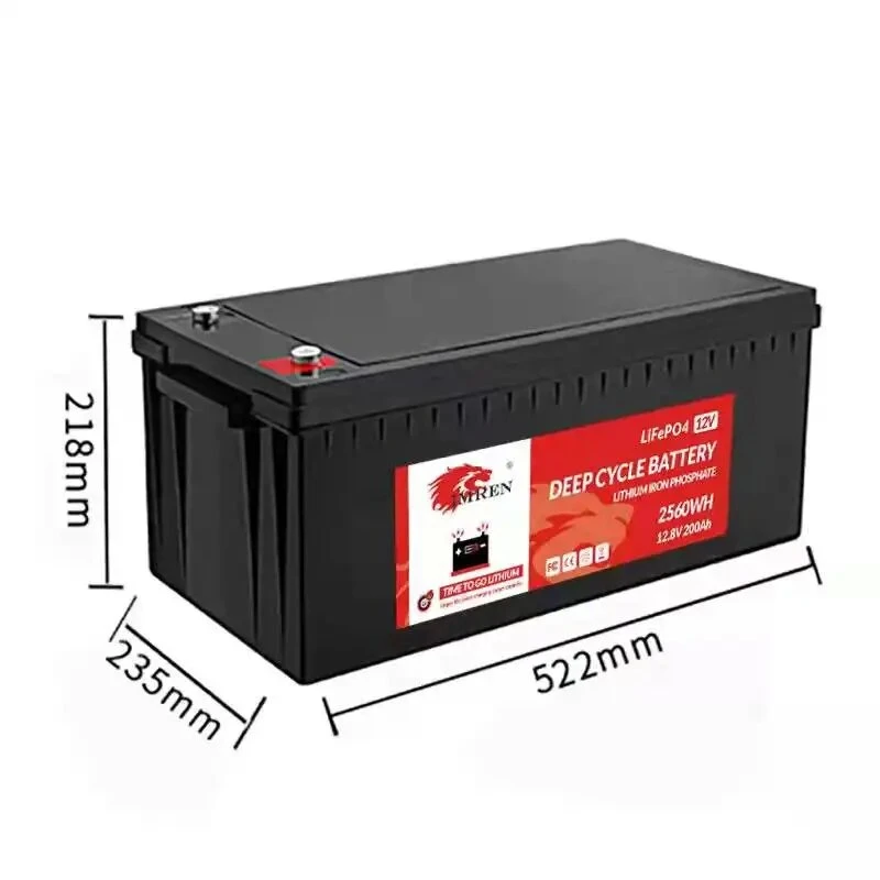 Rechargeable 12V 24V 48V Lithium Battery Fishing Boat Agv RV Golf Cart Auto Battery LiFePO4 12V 100ah Battery