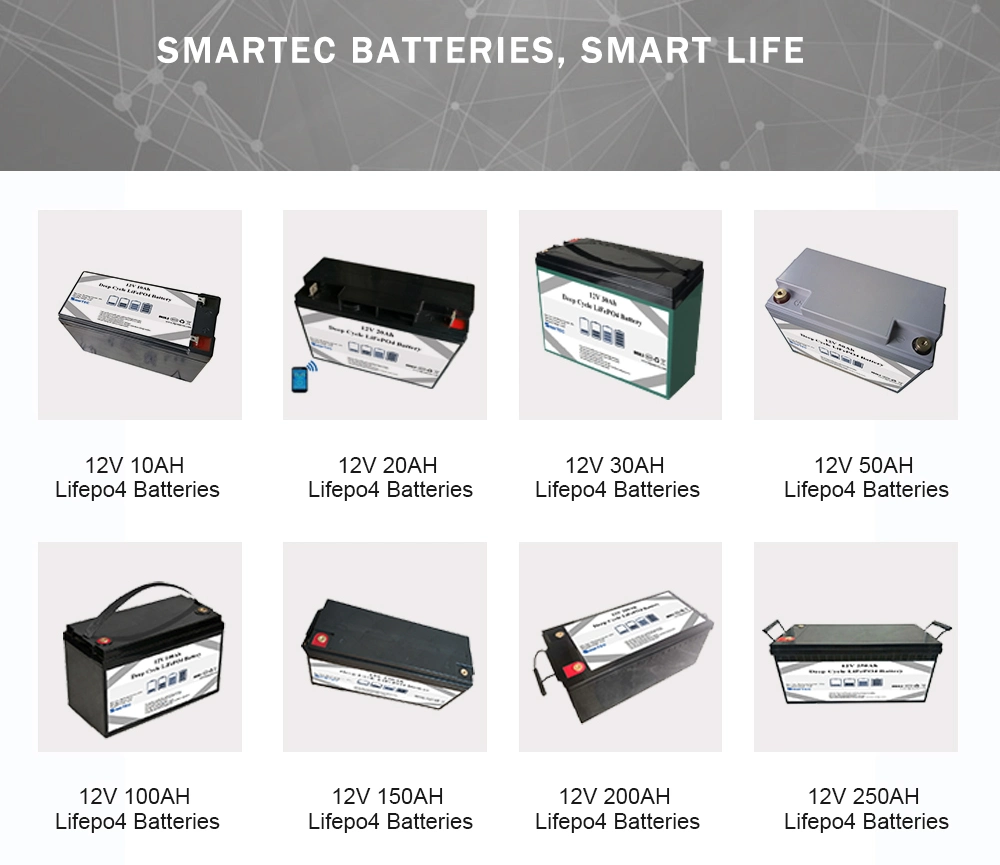 Factory Price Lithium 24V 48ah LiFePO4 Battery for Agv Battery/Robotic Arm