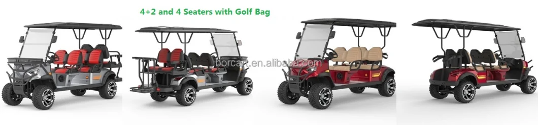 Factory 48V Battery Charger LiFePO4 Electric Vehicle Golf Cart with Golf Bag Rack