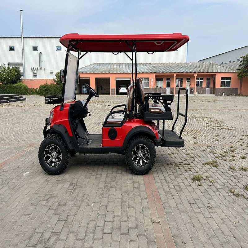 Hot Sale 4kw 36 Volt 6V LiFePO4 Cart Battery 48V Golf Carts Delivers Quickly