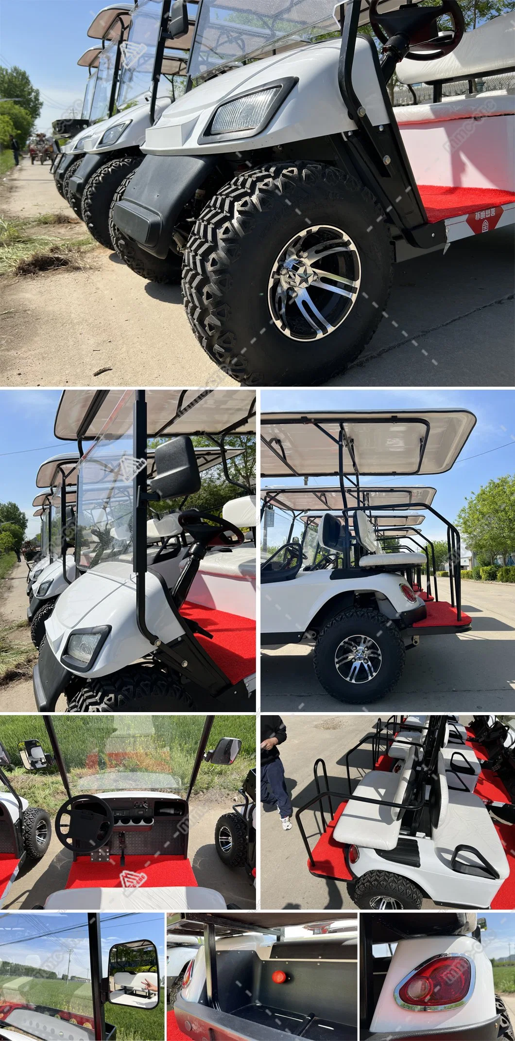 Custom 4 6 8 10 Seater Lithium Batteries Folding Golf Carts Electric 36 Volt 4X4 Golf Buggy Prices