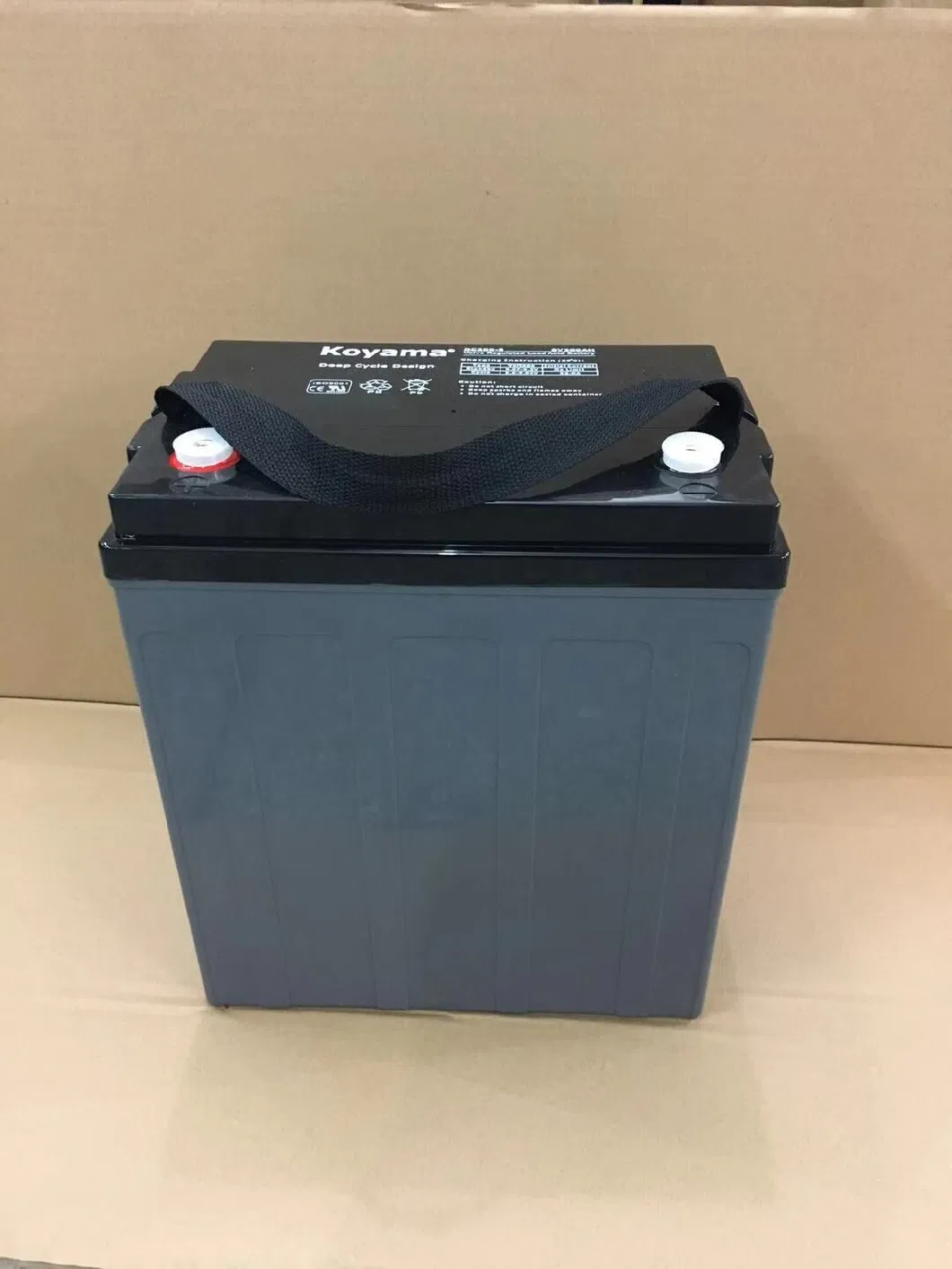 CE Approved Trojan Golf Cart Battery 8V170ah, T875