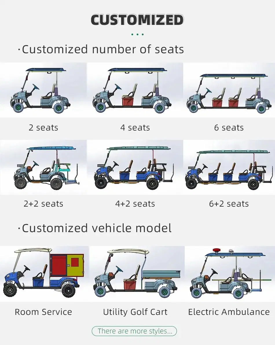 6 Passenger 72V/48V 5kw 7.5kw AC LFP Lithium Battery Electric off Road Golf Cart