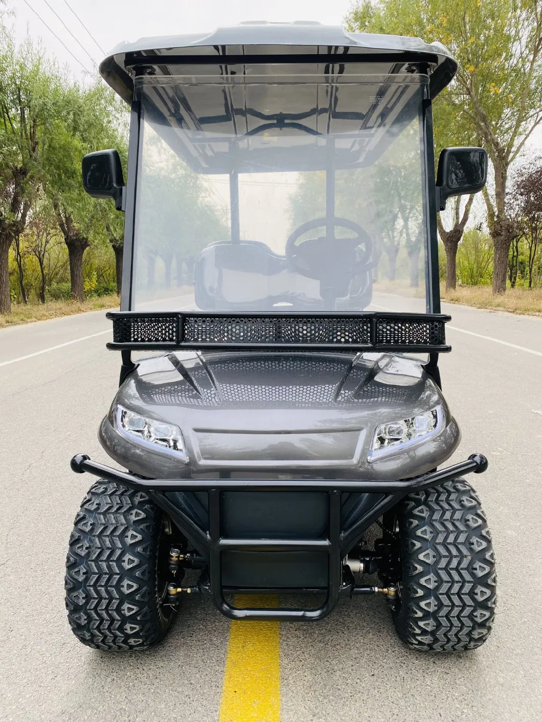 6 Passenger off-Road Gray Electric Electric Vehicle Cart for Sale