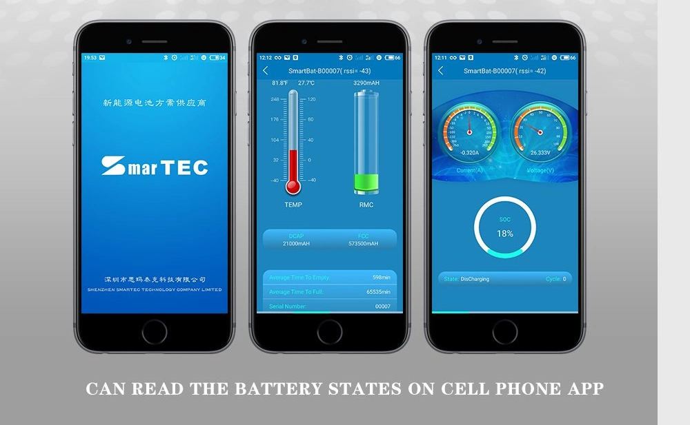 Factory Customized DIY Rechargeable 18650 LiFePO4 Lithium Iron Phosphate Battery for Best Power Tool Battery System