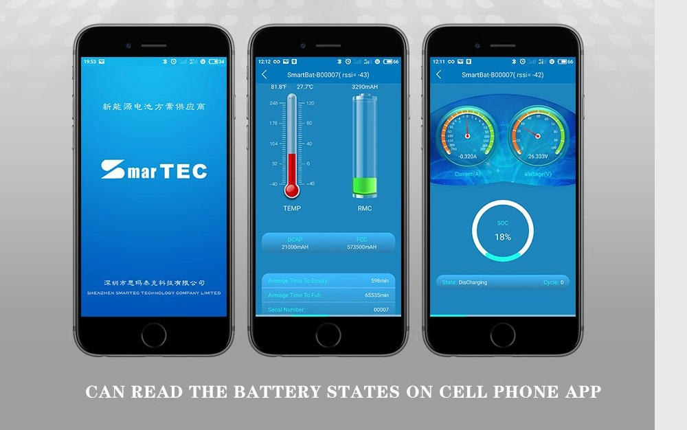 Factory OEM Available Lithium Ion Ternary Battery 10s 13s 16s 20s 36V 48V 60V 72V 10ah 20ah 30ah 50ah LiFePO4 Battery with BMS for Golf Cart/Ebike /Motorcycle