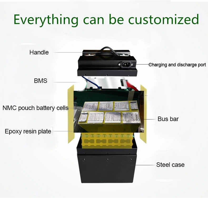 Voltage Customized 48V Lithium Ion Battery Lipo Battery Pack