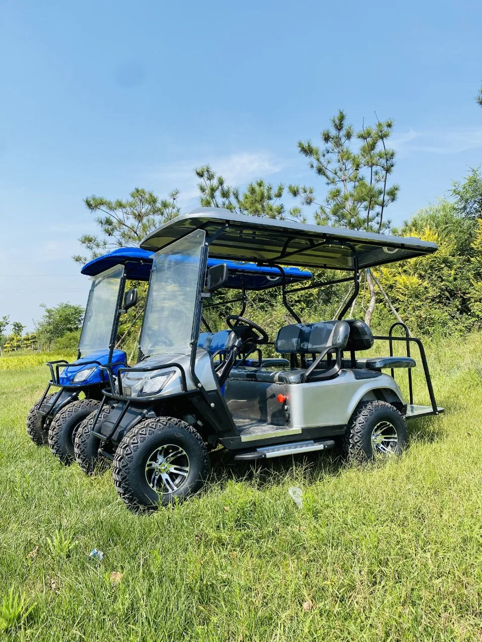 4 6 8 10 Seater Lithium Batteries Folding Electric Golf Cart 36 Volt 4X4 Golf Buggy