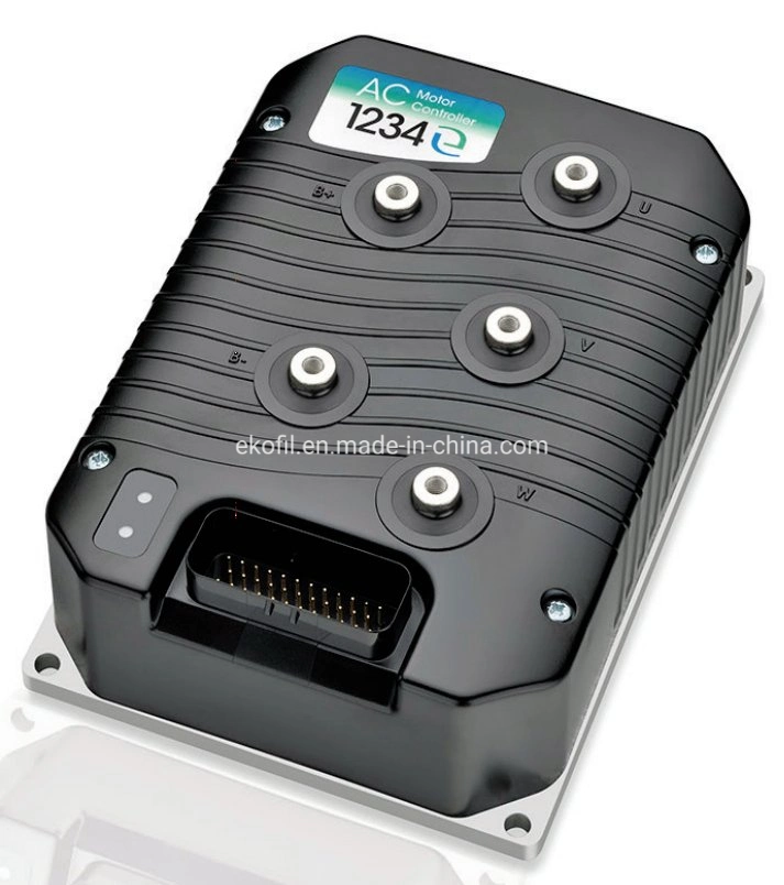 36V 56ahlifepo4 Batteries System Enable You Freely Driving in Golf Course