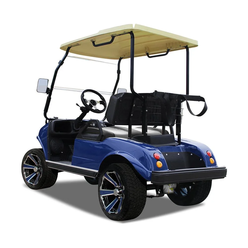 2 Seaters LiFePO4 Battery Green Golf Buggy Utility Cart