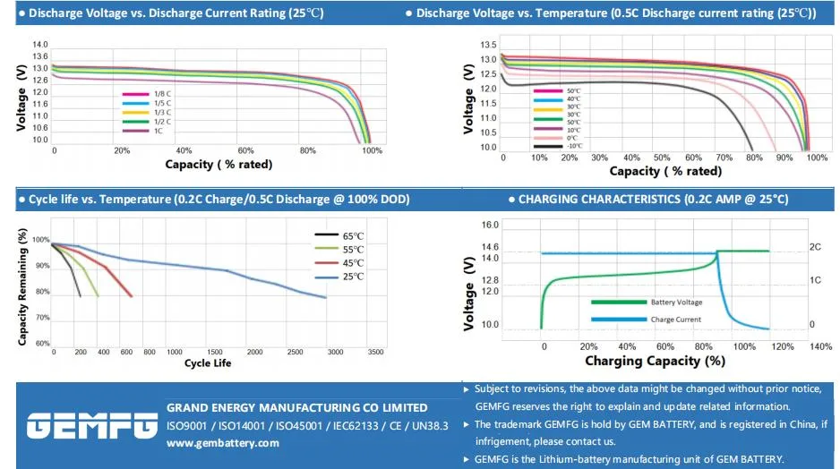 Deep Cycle Rechargeable LiFePO4 Lithium Battery Pack 24V 100Ah for Solar System