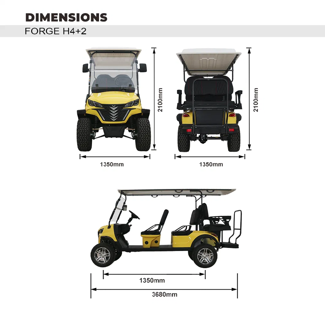 China High Quality Dachi Golf Cart Golf Buggy Forge H4+2 Factory Direct Sales