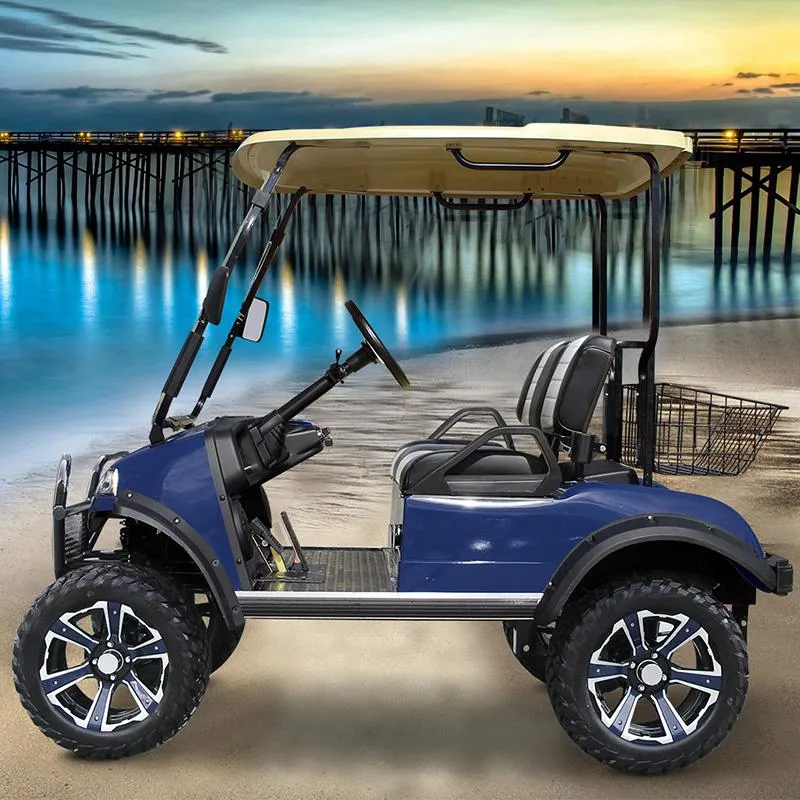 Hdk China LiFePO4 Lithium Battery Golf Cart