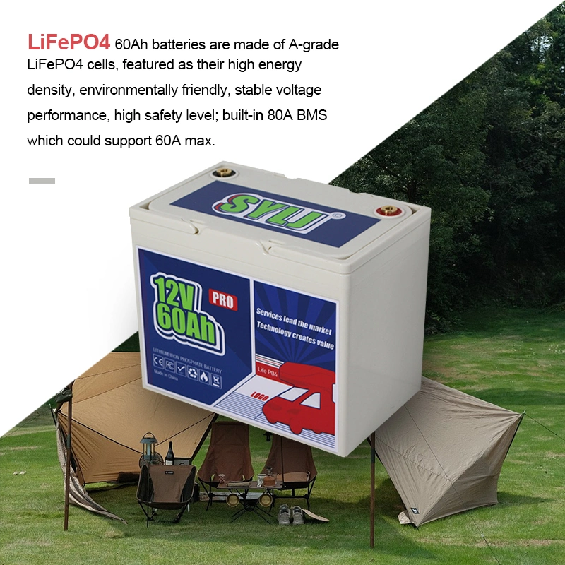 12V 60ah LiFePO4 Lithiumli-Ion Battery Built-in 100A BMS and Grade a Cells Max. 800W Load Power for Solar Home, RV, off-Grid