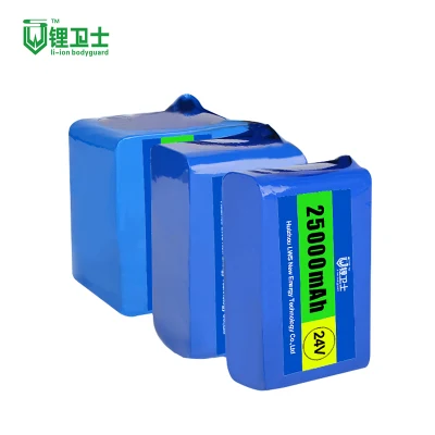 Lws 22V 24V 48V 72V 20ah LiFePO4 Batterie 12V <a href='/lithium-ion/'>Lithium Ion</a> Battery Pack