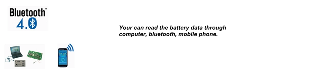 Smartec Directly Supply 4s 100A with Communications Battery Management System BMS for Electric Vehicle with Bluetooth APP for Lithium /LiFePO4 Battery