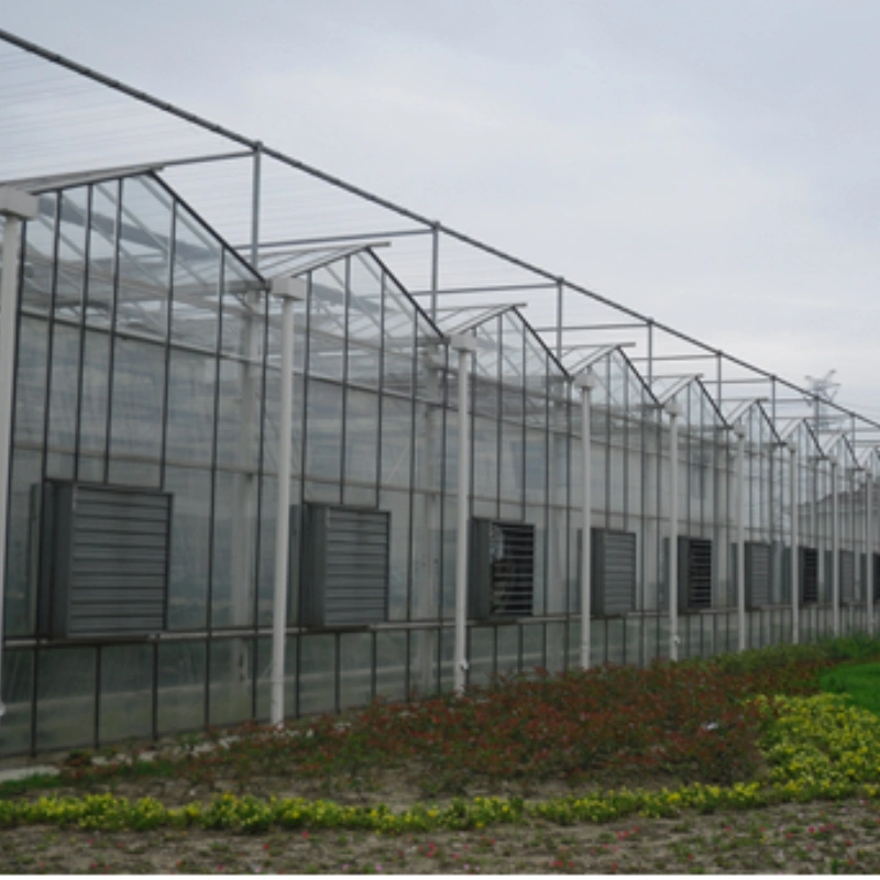 Large Commercial Economic Tunnel Plastic Mini Greenhouse with Greenhouse Heating