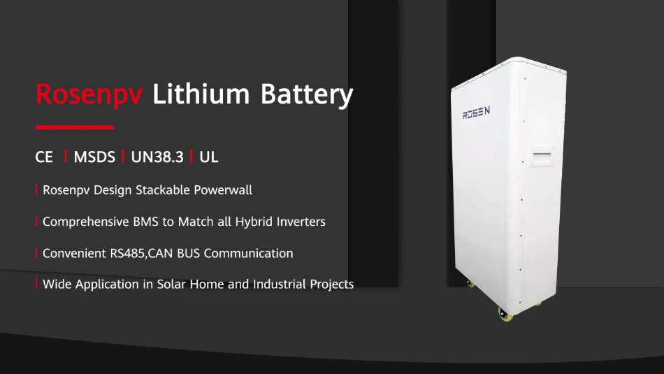 Sun Power 51.2V 50ah 100ah 150ah 200ah Lithium Ion Battery Pack Power Wall Home Storage