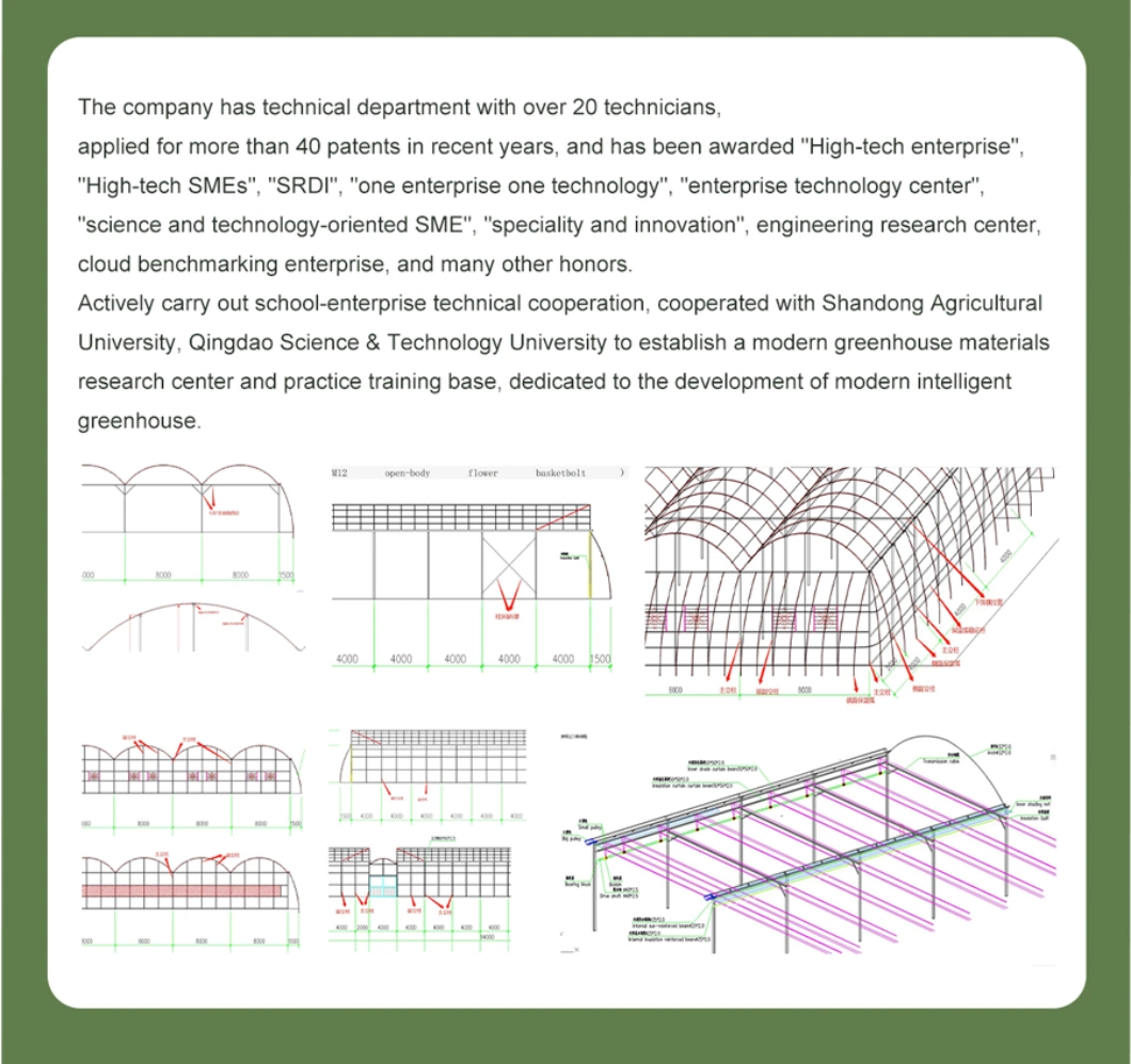 Large Commercial Economic Tunnel Plastic Mini Greenhouse with Greenhouse Heating