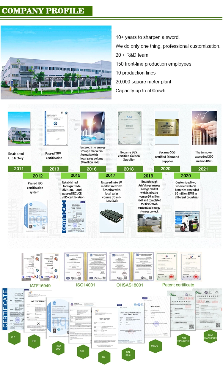 Deep Cycles 5kw 10kw LiFePO4 Batteries 51.2V 48V 300ah 100ah 200ah BMS Lithium Ion Energy Storage Solar Battery Packs