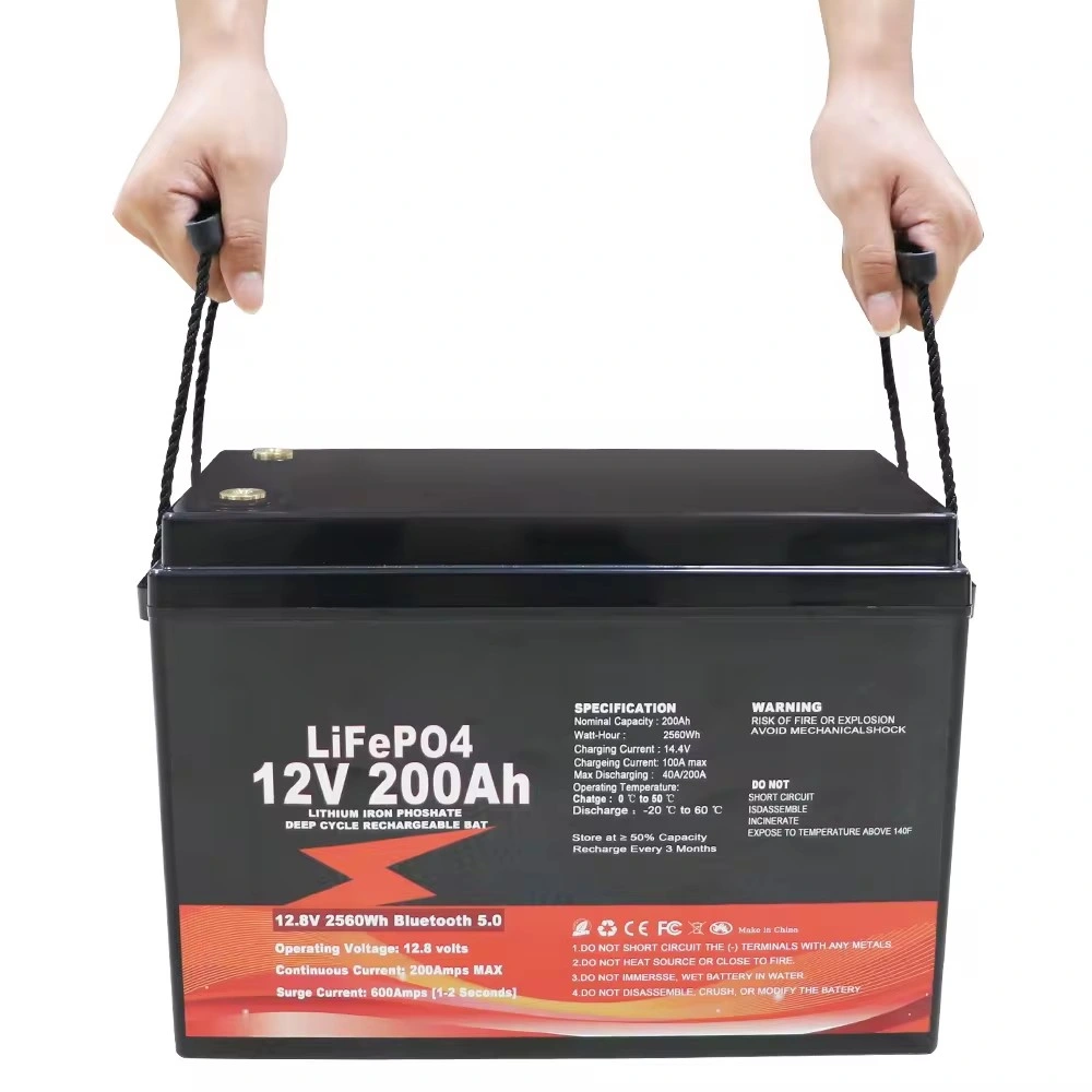 Wholesale 12V 200ah LiFePO4 Battery Power Inverter 12V to 110V Psoriasis Lithium LiFePO4 12V