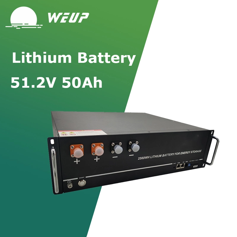 Energy Storage 51.2V 50ah 2.56kwh LiFePO4 Lithium Ion Battery for Home Solar Energy System