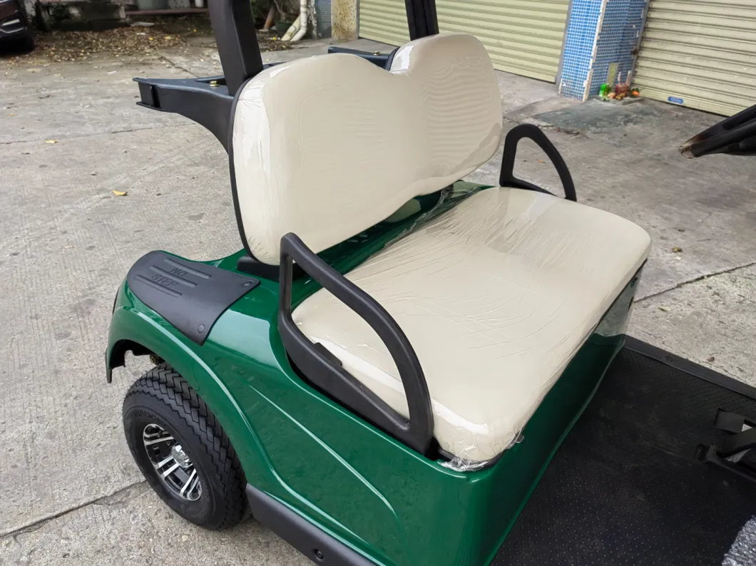 2 Seats Great Quality Golf Cart Electric Car Golf-Cart Class Vintage Cars 48V/72 lithium Battery for Choose