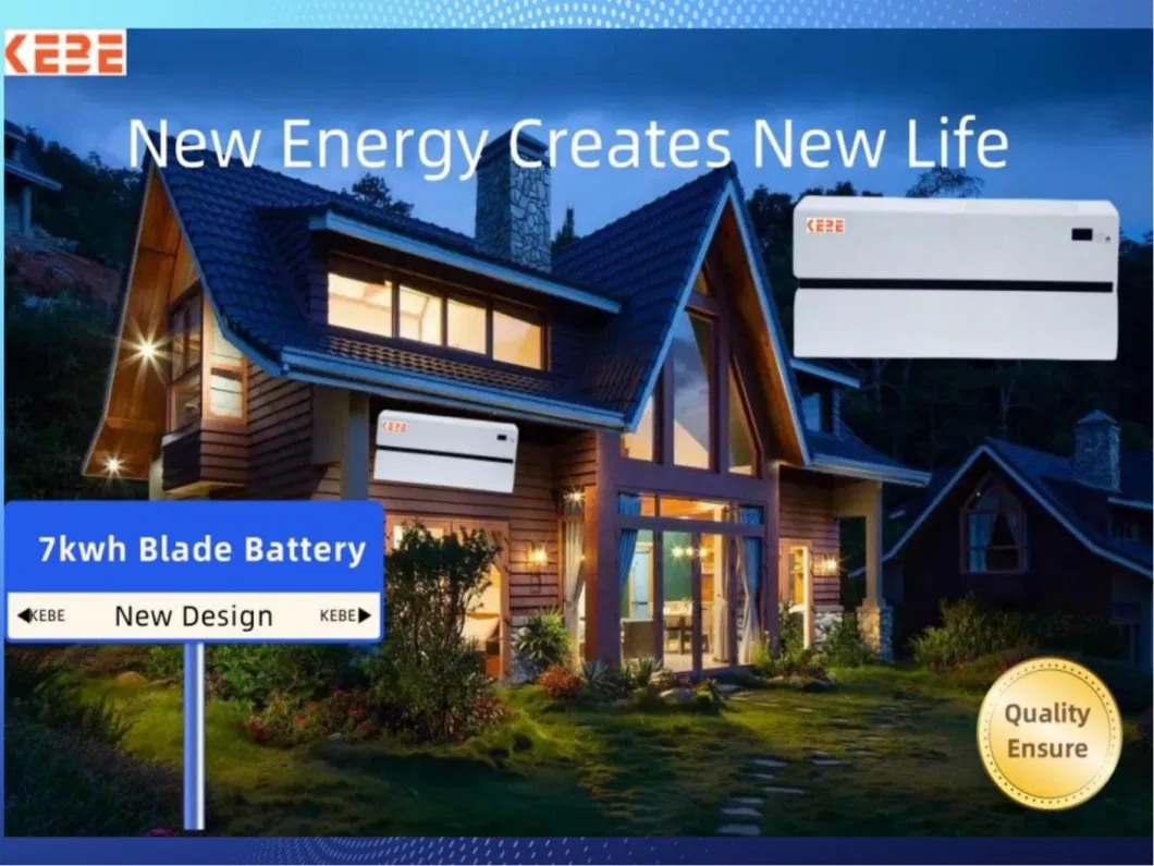 Energy Storage for Duplex House Garden Room High Quality 10 Years Warranty 6000 Cycle Sustainable Energy Solutions Super Cell Battery 7 Kwh 51.2 V 138 Ah