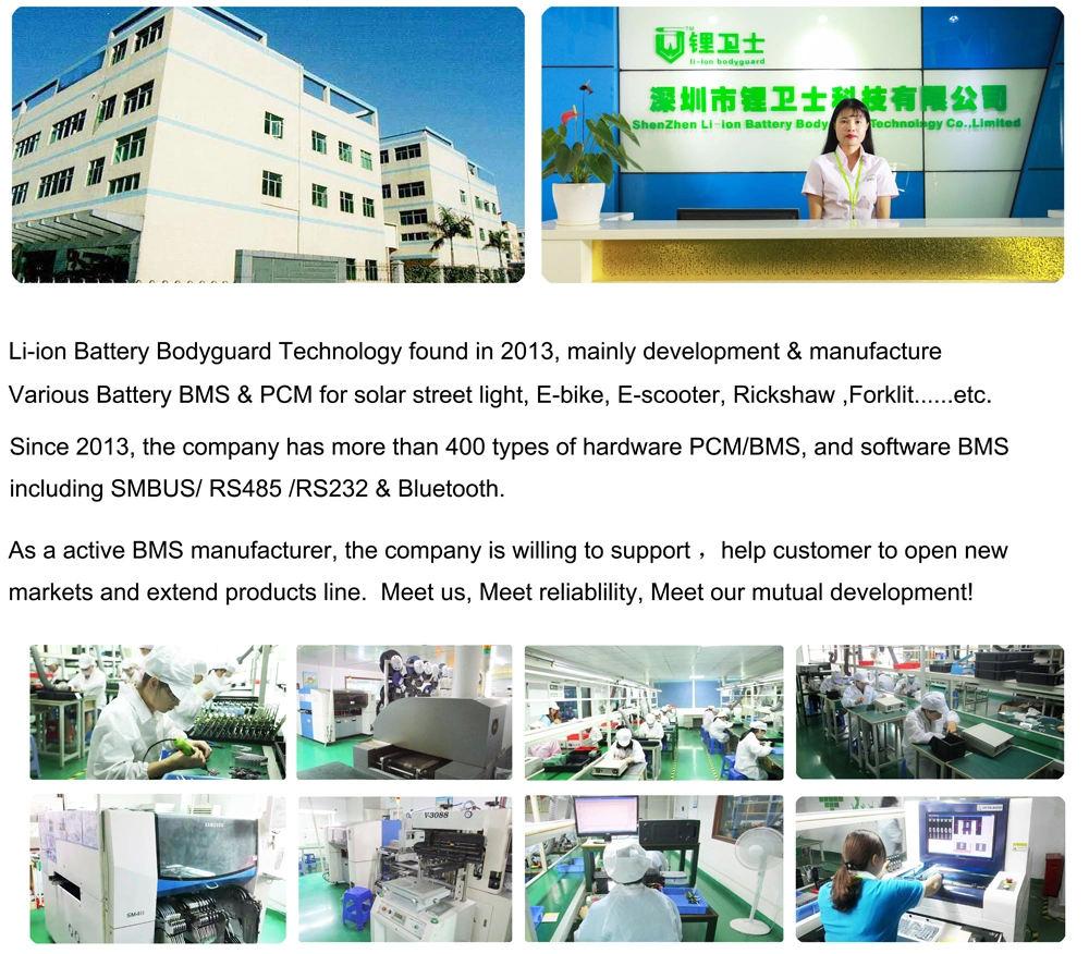 4s~24s Lithium Battery Management System BMS with 60A 100A