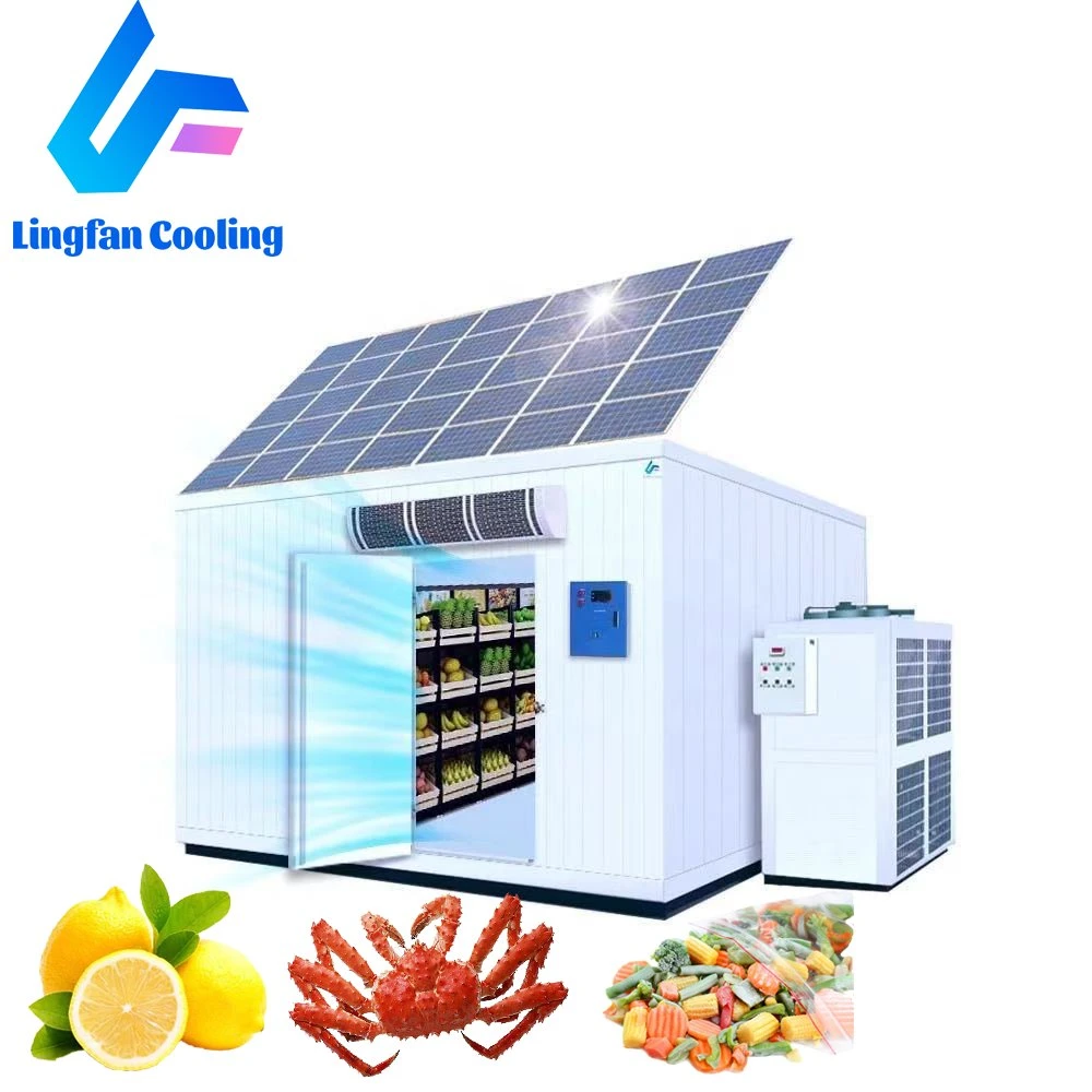 New Solar Smart Cold Storage