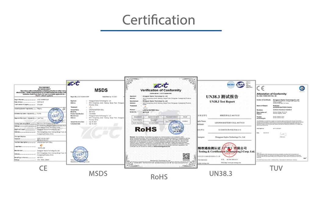 Manufacturer Professional Protection Board BMS 13s 14s Ncm/15s 16s LFP Battery Management System BMS