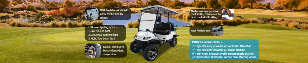 Lithium Battery Double a Arm Constrution 6 Seater Electric Car Golf Cart