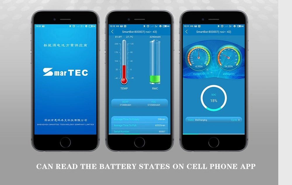 Manufacturer Supply PCM BMS for 4s 12V 150A/200A Lead Acid Replacement Battery with Bluetooth Optional