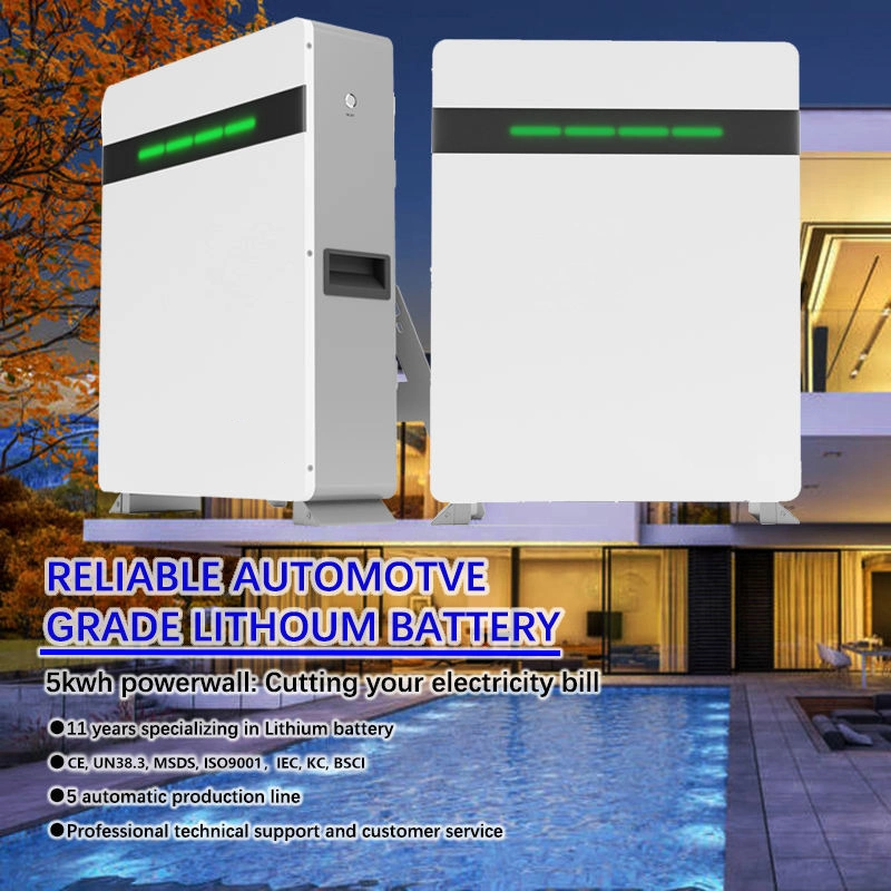 Long Life Solar Battery Lithium Iron Phosphate 51.2V 100ah BMS 5kw Solar Power Storage