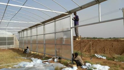 Hydroponics Movable Rolling Bench System Flood Table Walk-in Tunnel Greenhouse with Greenhouse Blackout System