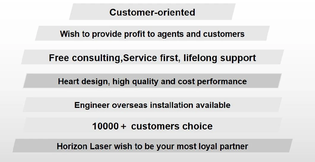 Scanning Online Service Horizon Woonder Case Hand Laser Marking Machine