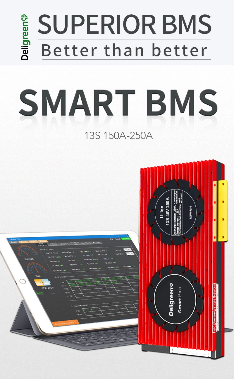 Deligreencs Smart BMS 3.7V Rated 13s 48V 150A 200A 250A Over Charge Discharge Protection for Low-Speed Four-Wheel Vehicle