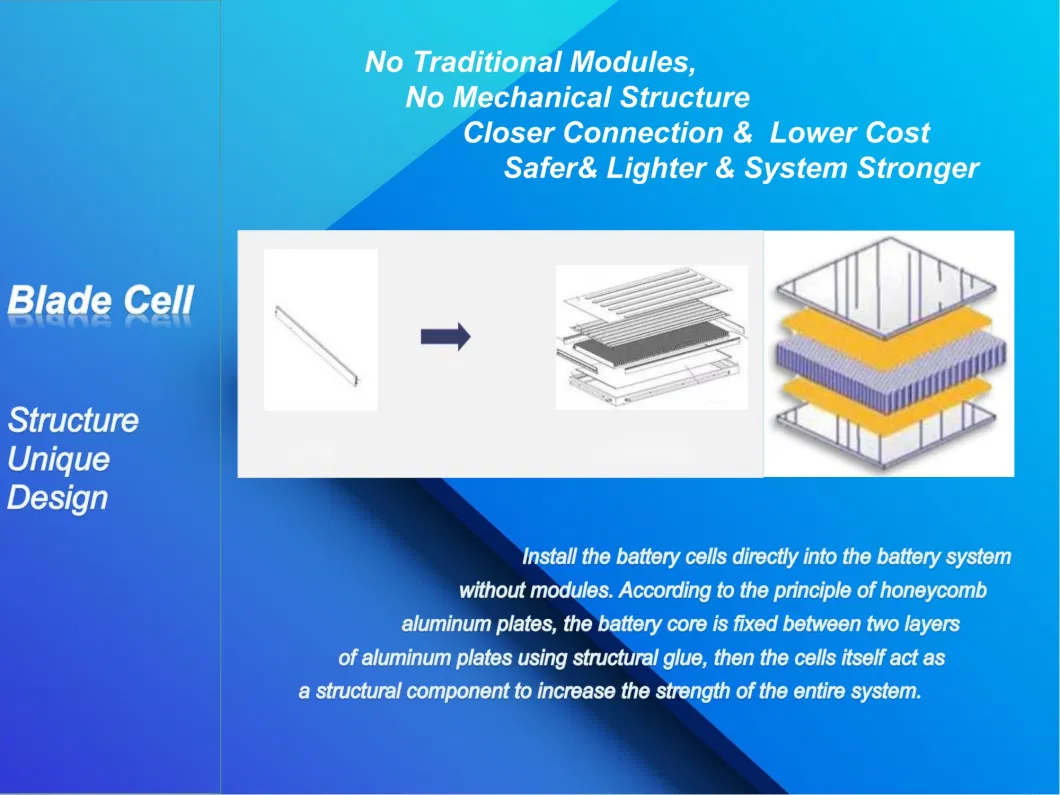 Battery Pack Solar Battery Power Supply Energy Storage for Duplex House Garden Sustainable Energy Solutions Cell Blade Battery 7 Kwh 51.2 V 138 Ah Lithium