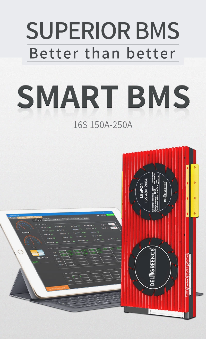 Daly LiFePO4 Li Ion BMS 16s 24s 24V 36V 48V 150A 300A for with Balance Function High Voltage Dali BMS