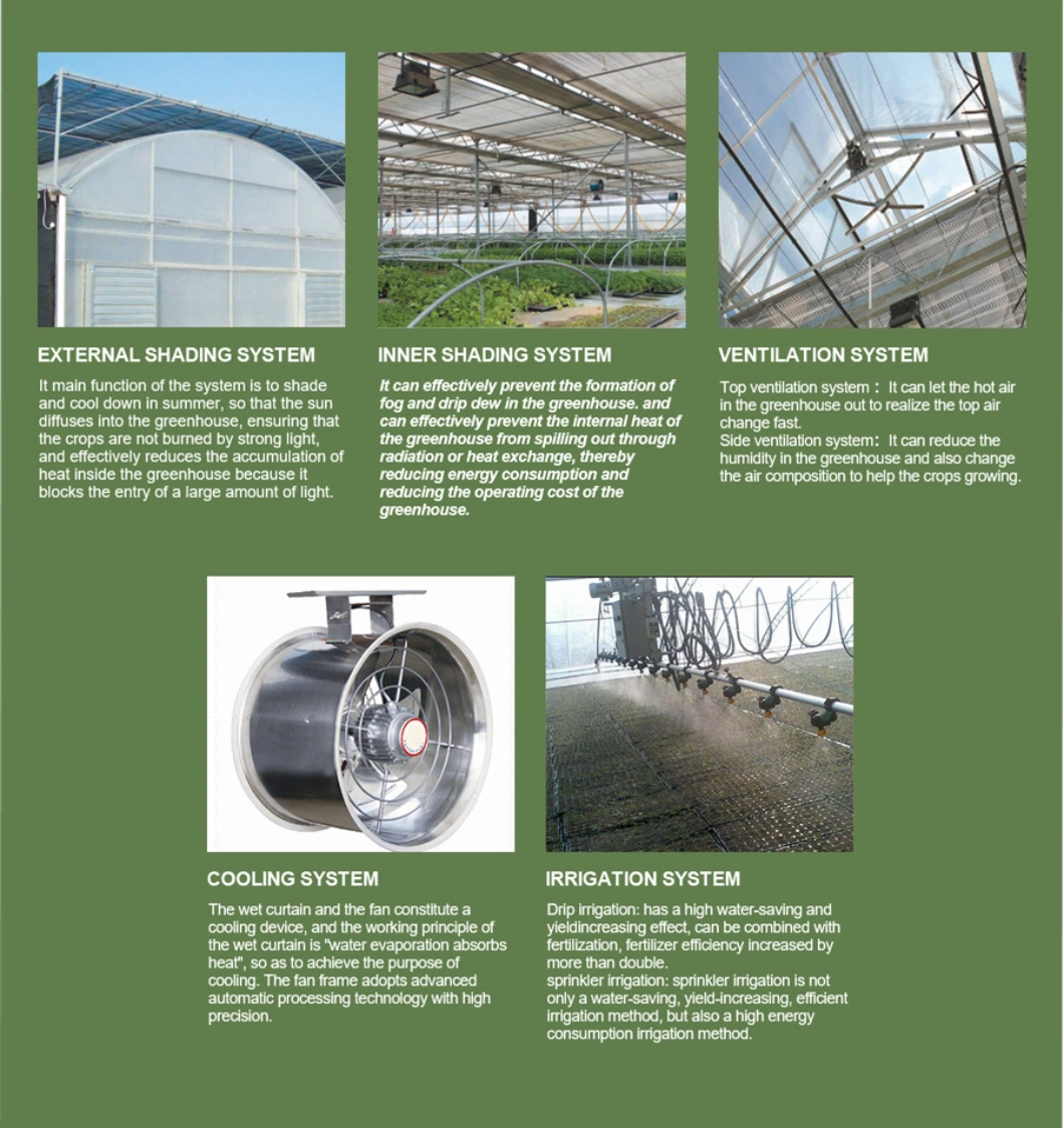 Aluminium Metal Equipment Vegetable Tunnel Small Greenhouse with Greenhouse Blackout System