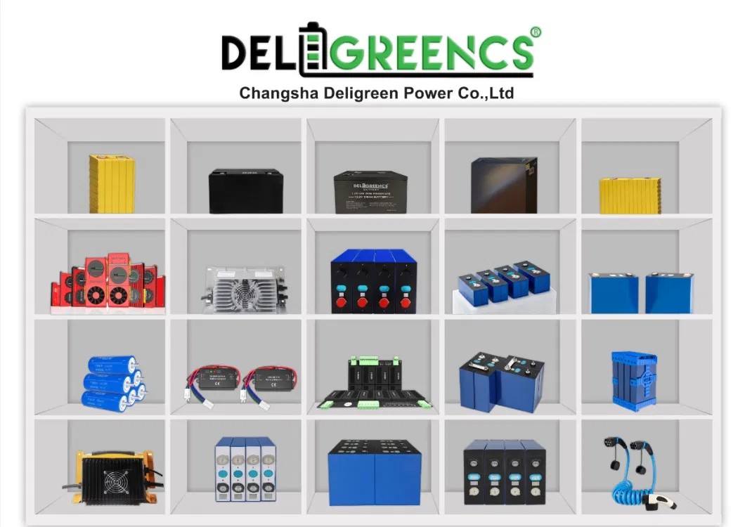 in Stock! ! ! EU Poland Warehouse Deligreen 12V LFP 4s 200A Smart BMS with Bt for EV LiFePO4 Battery