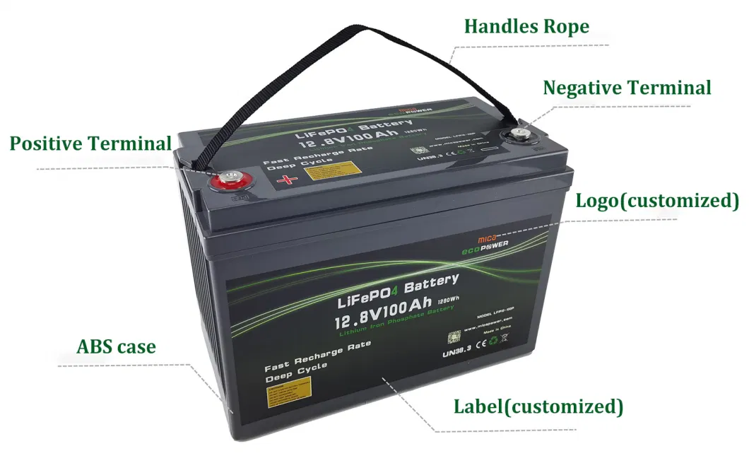 Factory ISO9001 12V 100ah LiFePO4 Deep Cycle Battery LiFePO4 Battery 12V for Solar Energy Storage UPS PV RV System with CE BMS Bluetooth