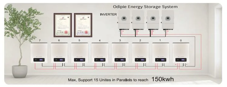 10kwh 48V 51.2V Lithium-Ion LiFePO4 Battery Solar Wall Mounted House Energy Storage