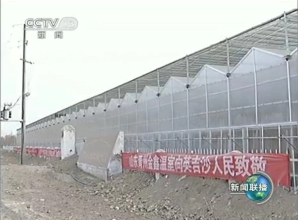 Hydroponics Movable Rolling Bench System Flood Table Walk-in Tunnel Greenhouse with Greenhouse Blackout System