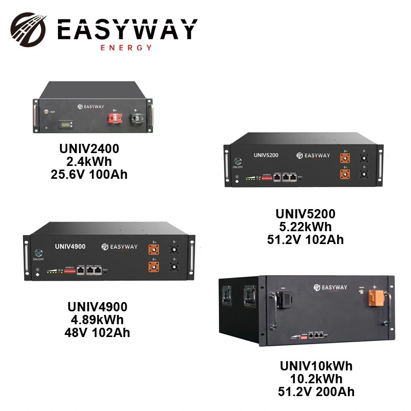 12V 12ah Lithium Ion Battery 51.2V 200ah with 10 Years Repair