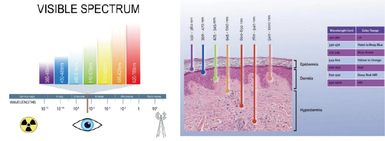 650nm and 808nm Home Use Cold Laser Pain Relief Machine with Tens